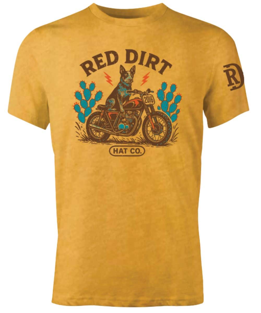RDHC-T-194 ! desc :  ! caption :