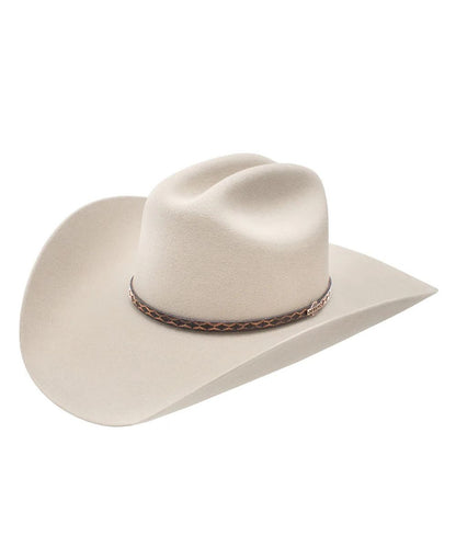 silver cowboy hat with Brown decorative band and white background