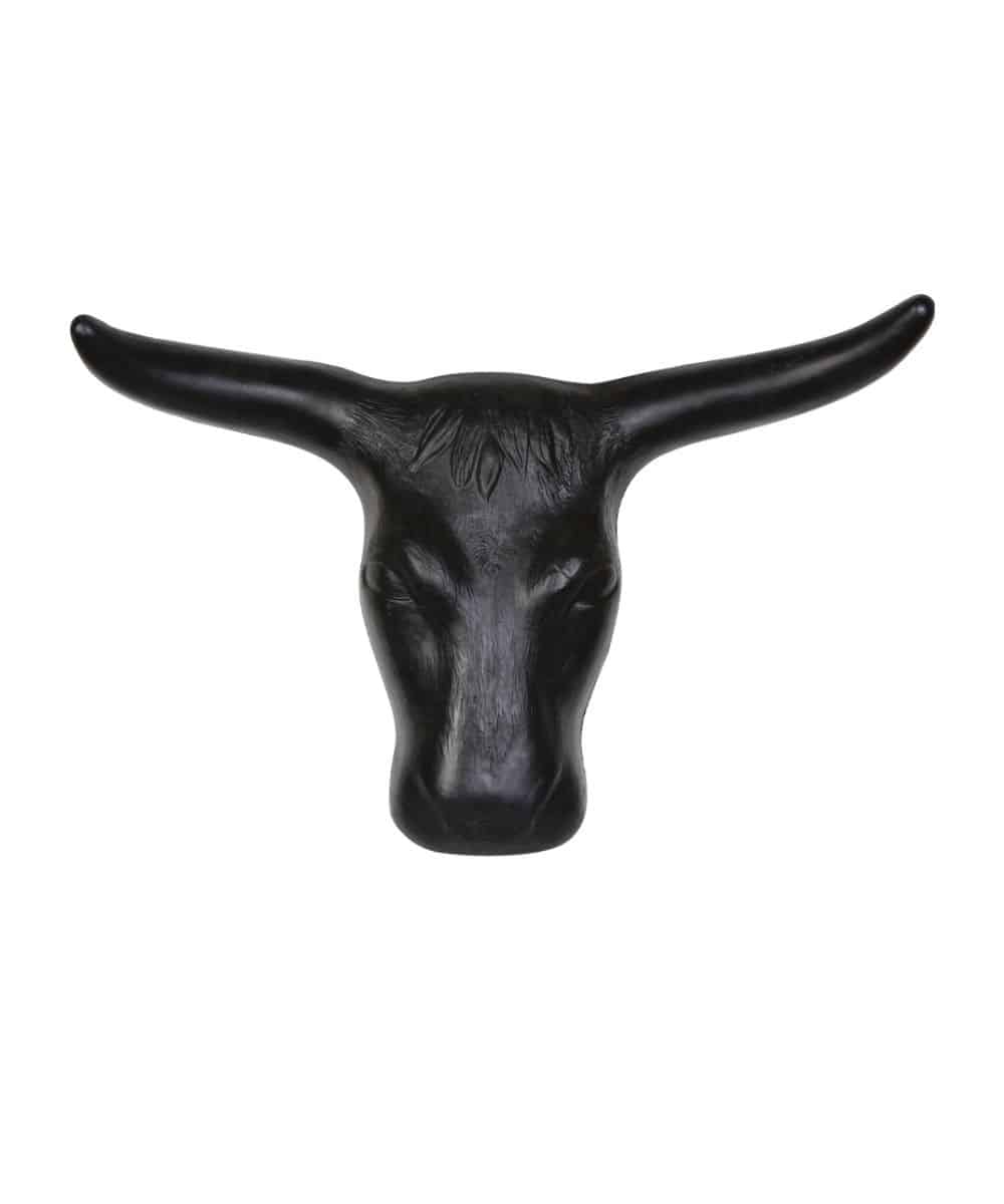 STEERHEAD ! desc :  ! caption :