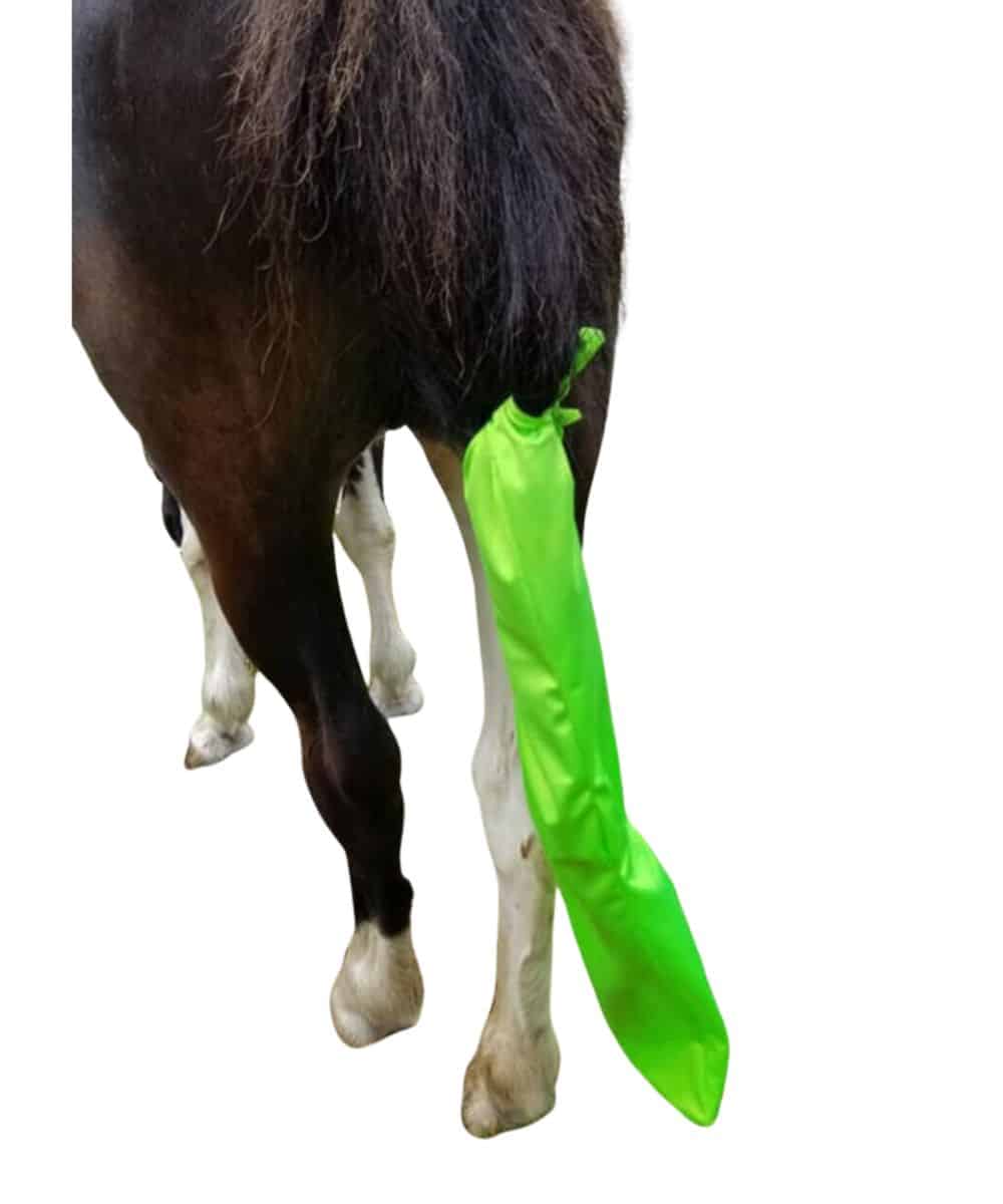 T-BAG-LIMEGRN ! desc :  ! caption :