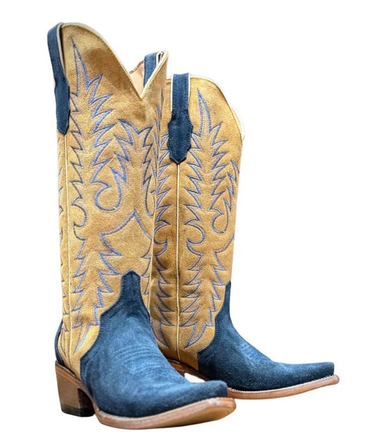 TML205461 ! desc :  ! caption :