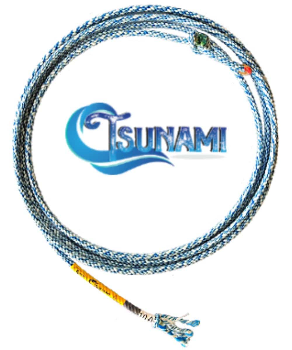 TSUNAMI ! desc :  ! caption :