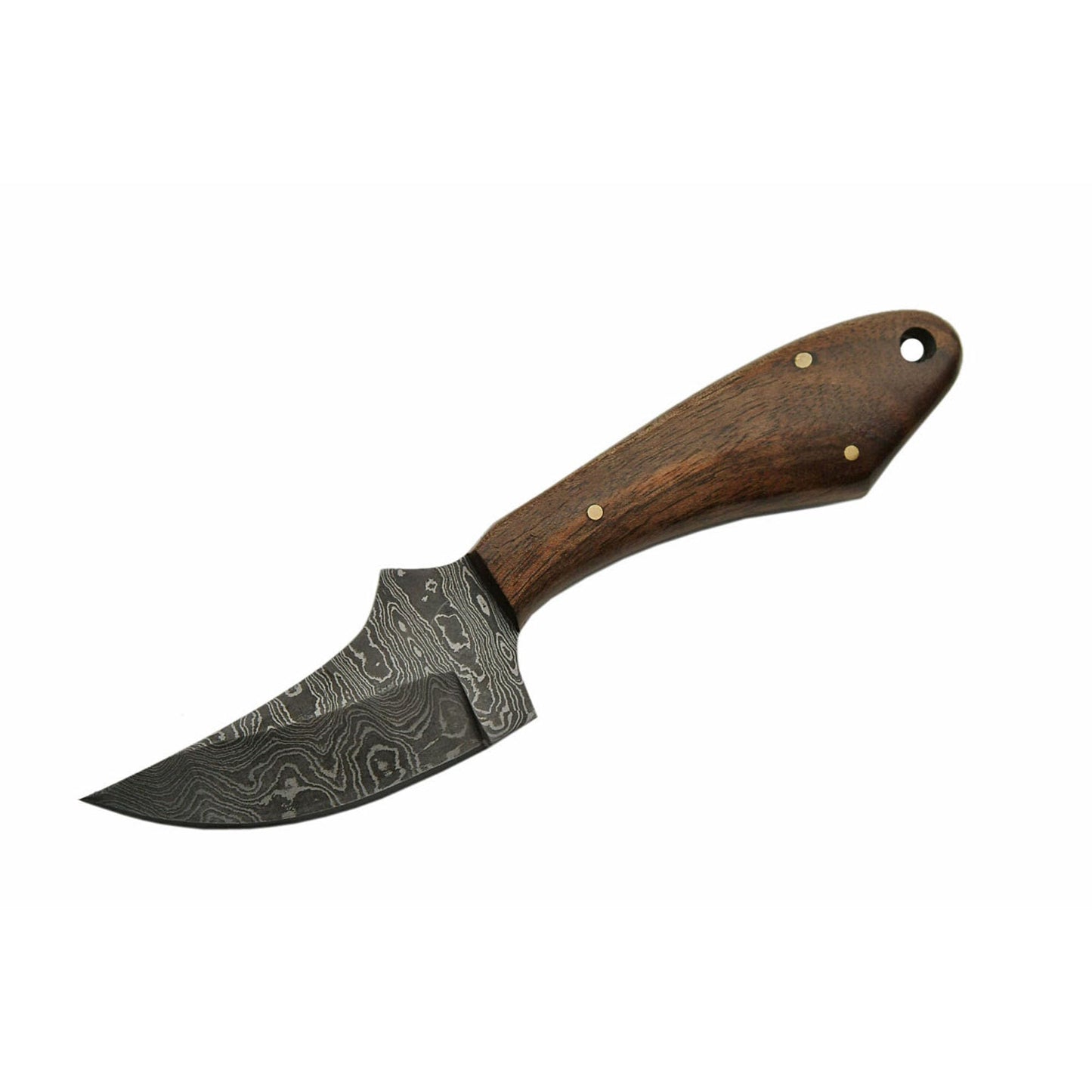 Double D Sanz Walnut Rhino Damascus Bowie Fixed Blade Knife