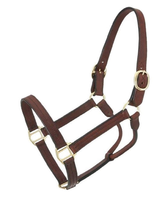 Royal King Leather Track Halter